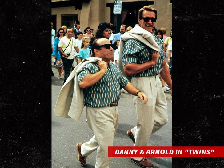 Danny and Arnold in "Twins"