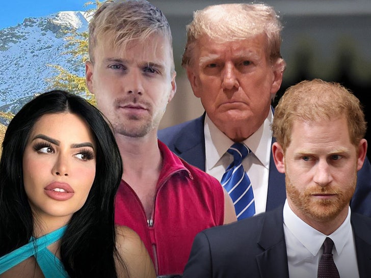 Main Composition of Donald Trump Prince Harry 90 Days
