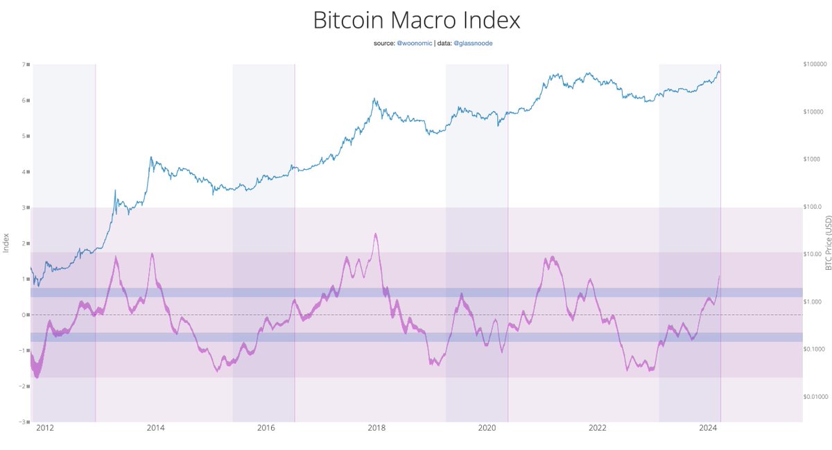 Bitcoin Macro Index