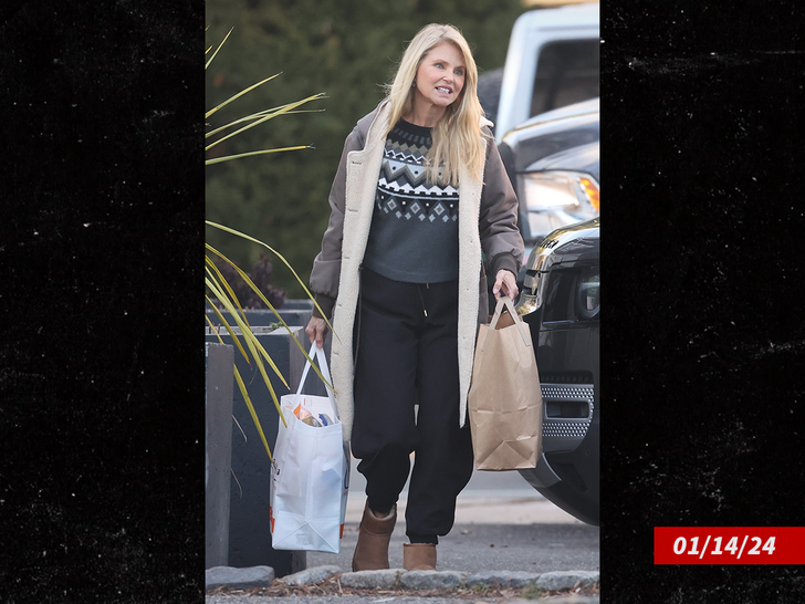 Christie Brinkley is caught carrying groceries
