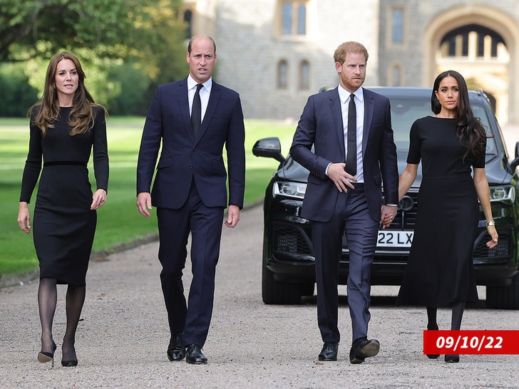 Kate Middleton, Meghan and Prince Harry and William