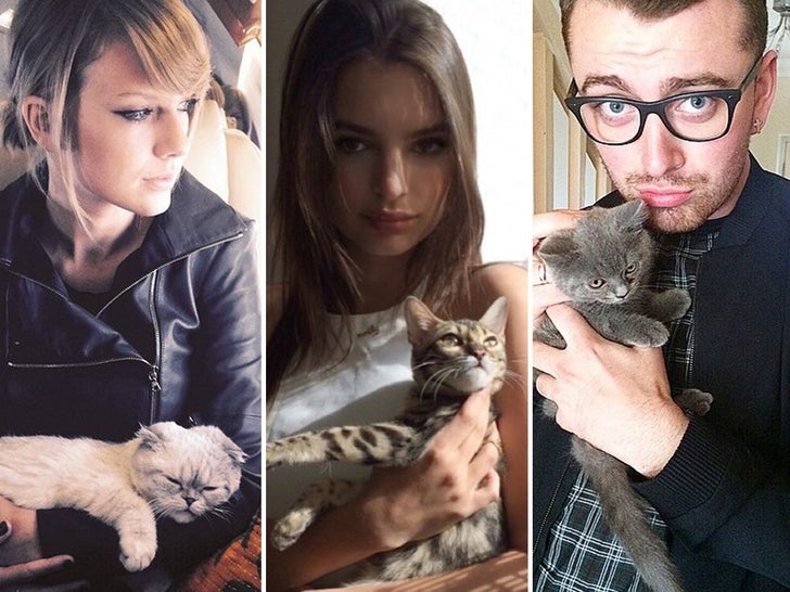 Celebrities and their feline friends