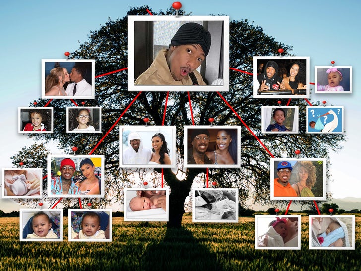 Nick Cannon's Tangled Family Tree