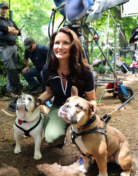 BULLYS FOR HER: Kristin Davis gets closer to her canine co-stars from “And Just Like That” while filming in Central Park.