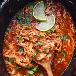 slow cooker salsa chicken