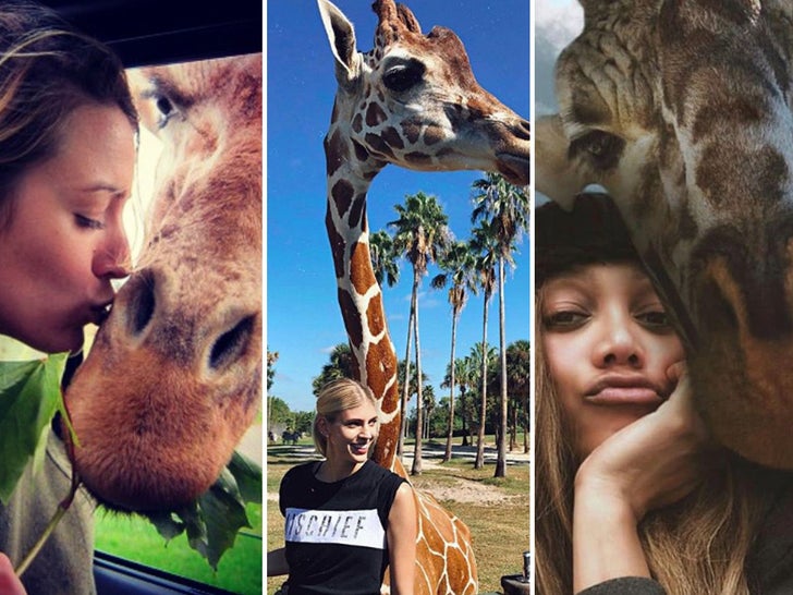 Celebrities with giraffes