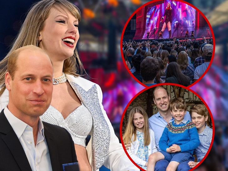 taylor swift tour prince harry and kids eras