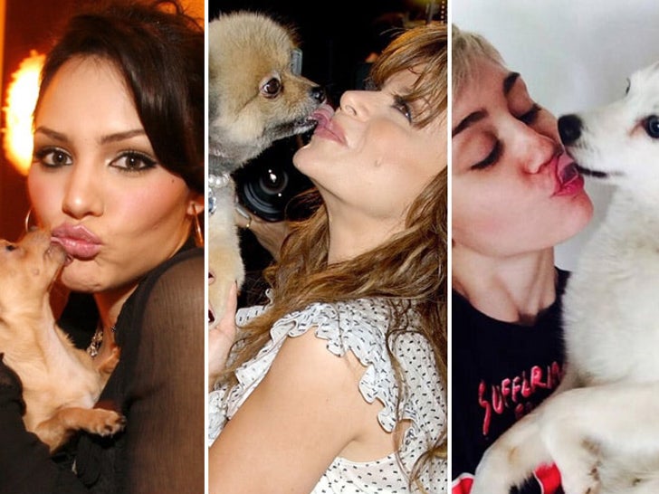 Sloppy Celebrity Dog Kisses — Puppy Love!
