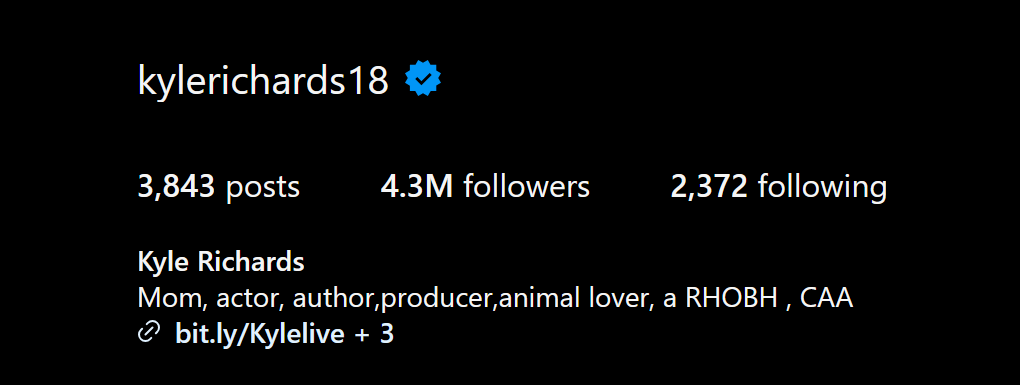 A dark mode screenshot of Kyle Richards' Instagram bio on July 19, 2024.