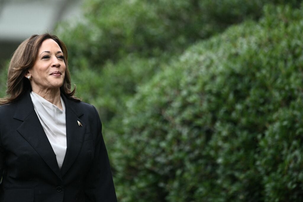 Vice President Kamala Harris on July 22, 2024.