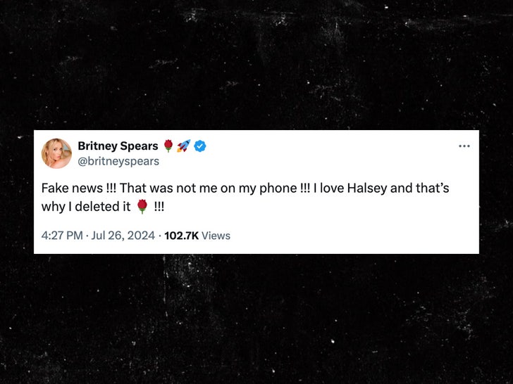 britney spears halsey fake news