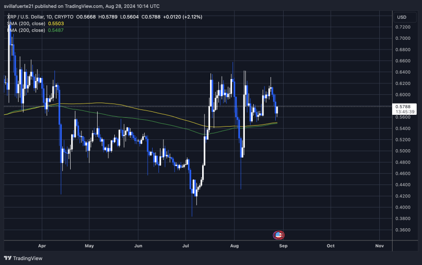 XRP holding above 1D 200 MA.