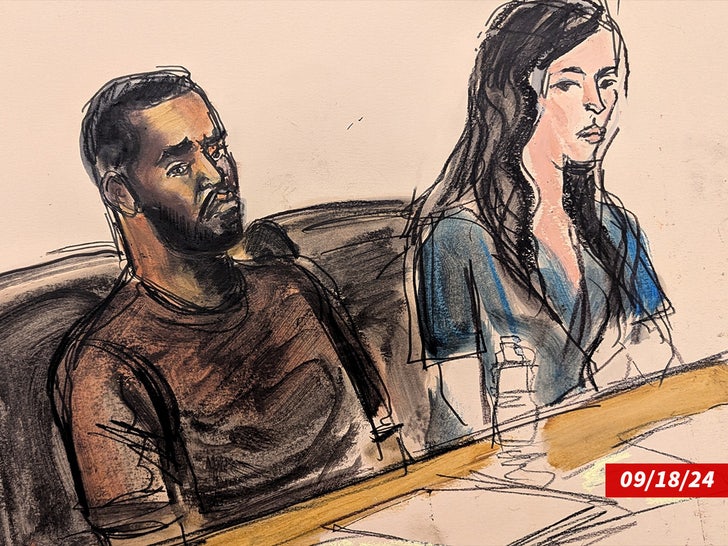 stolen diddy court sketch