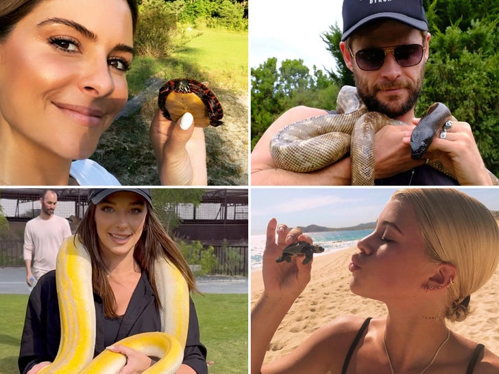 Celebrities with reptiles