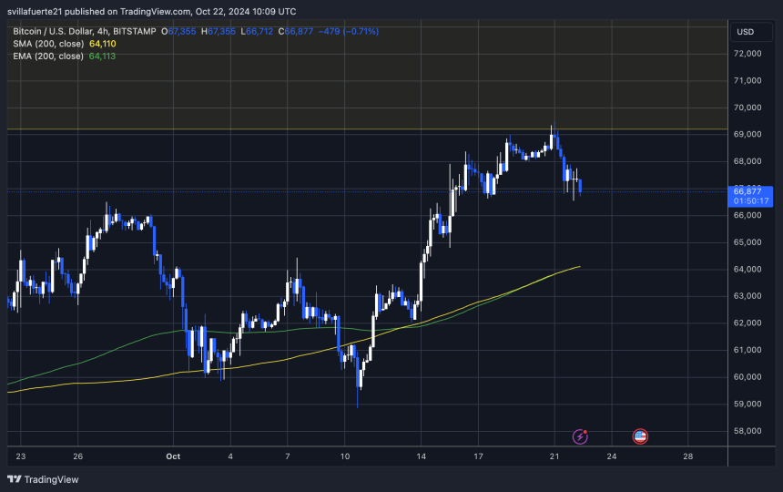 BTC holdings above $66K 